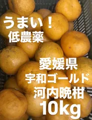 愛媛県産　低農薬　河内晩柑　宇和ゴールド　柑橘　10kgのサムネイル