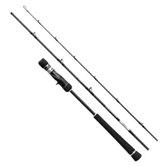 2026年最新】SHIMANO ジギングロッドの人気アイテム - メルカリ