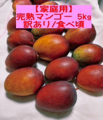 摘果マンゴー 5kg 沖縄直送加工用 青/アーウィン - メルカリ