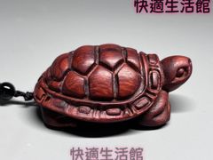 WILD WOOD × アクアプラント 亀甲竜 根付ストラップ コーデックス