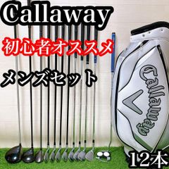 ES10 タイトリスト 初心者オススメ ゴルフクラブセット メンズ 14本