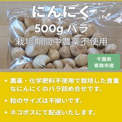 まみ様専用 砂丘らっきょう 7kg Mサイズ - メルカリ