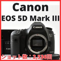 G11[8265]38 Canon EOS 5D Mark III Body [Shot Count: 2,536]