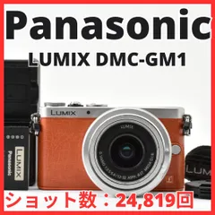 G11[8274]23 パナソニック Panasonic LUMIX DMC-GM1 ボディ 12-32mm レンズキット 【ショット数 24,819回】のサムネイル