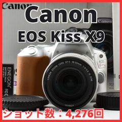 G11[8265]38 キヤノン Canon EOS 5D Mark III ボディ 【ショット数