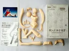 【中古】フィギュア ホシノ・ルリ 16才(スペシャルタイプ) 「機動戦艦ナデシコ」 1/5 ガレージキットのサムネイル
