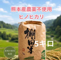 熊本産農薬不使用米ヒノヒカリ5キロのサムネイル