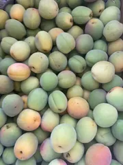 小梅，豊後梅，5キロ箱込みのサムネイル