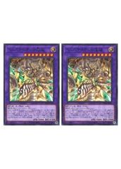 中古】 遊戯王OCG デュエルモンスターズ ナチュル・ビースト DTC1 DTC1