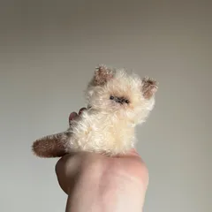 とけそうな、ねこ　( 焼きぷりん )　猫　ぬいぐるみ　テディベア　ハンドメイド　アートドール　ハンドメイド作家のサムネイル