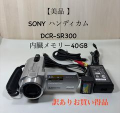 SONY Handycam DCR-SR100 ビデオカメラ ナイトショット搭載 - メルカリ