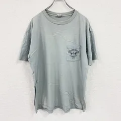 GHESAPEAKE BAY　チェサピークベイ　半袖プリントTシャツ　シングルステッチ　ヴィンテージ　灰色　グレー　XLサイズ　古着のサムネイル