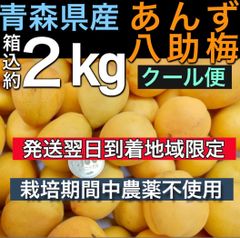 13時まで‼️数量限定木成り完全完熟❗️山形県産『節田梅』M〜2L2kg