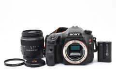SONY α65 SLT-A65V DT18-250mm 訳あり SONY α65 SLT-A65V DT18-250mm 高倍率レンズ 訳あり - メルカリ