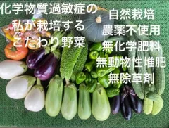 【クール便】80サイズ　自然栽培　固定種　在来種　野菜セットのサムネイル