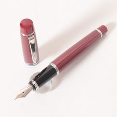 PILOT パイロット デラックス漆 万年筆 ダークブルー 14K 細字 F 筆記