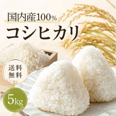 新潟県産】コシヒカリ5キロ 令和7年産 精米時期令和8年6月 送料無料
