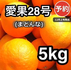 予約】愛媛 小玉みかん10kg 産地直送 家庭用🍊- メルカリ