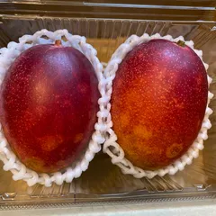宮崎　完熟　マンゴー　2玉　入り　約  560g ※冷蔵発送※のサムネイル