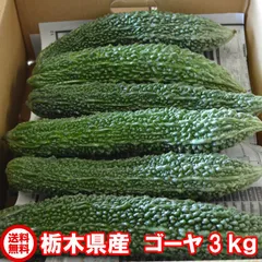 【ＪＡ佐野】朝採りゴーヤー 3kg 8～14本入り ゴーヤ茶 ジュース 栃木県産 SHINOZAKI5115F ARM ニガウリ 苦瓜 常温発送 【ニガウリ詰合せセット】のサムネイル