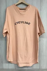 CVTVLIST カタリスト アーチロゴ 半袖Tシャツ オレンジ系 コットン 日本製 メンズ [サイズ:2]のサムネイル