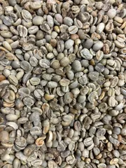 コーヒー生豆の欠点豆 4.5キロのサムネイル