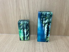 T/バウム　BAUM　2本　モイスチャエアイジングオイル・ハイドロエッセンスローションｎのサムネイル