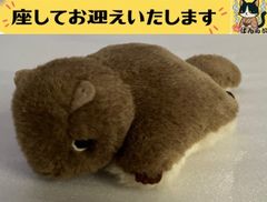 ラッコのクリッピー ぬいぐるみ M 三英 - メルカリ