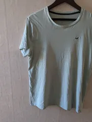 【T-0227】 Hollister　採寸済み　Mしず相当　Made in Unknown　1-PointTのサムネイル