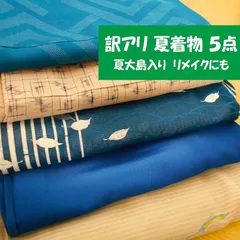 2607Z007 訳あり　夏着物 5点 まとめ 夏大島 夏小紋 紗訪問着 色々セットのサムネイル