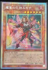 遊戯王 耀聖の花詩ルキナ エルフェンノーツ プリズマ プリシク h1