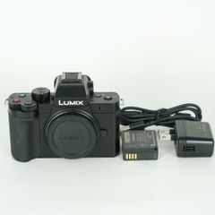 すぐに使えます。Lumix DC-G100（ボディ） ほかアクセサリー すぐに使えます。Lumix DC-G100（ボディ） ほかアクセサリー - メルカリ