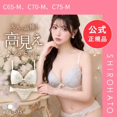 【新品】サンエイ ガーリーアンティークレース ブラセット ABCD ブラジャー ショーツ セット 谷間 盛り胸 丸胸 美胸 SANEI(C65-M、C70-M、C75-M)のサムネイル