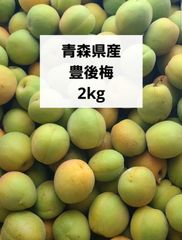 木成り完全完熟❗️山形県産『節田梅』2L2kg - メルカリ