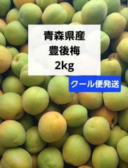 13時まで‼️数量限定木成り完全完熟❗️山形県産『節田梅』M〜2L2kg