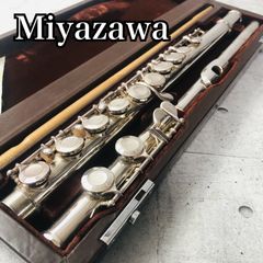 保証付】The ROOTS ザ ルーツ Jyuraku ジュラク 寿楽 6本アイアン
