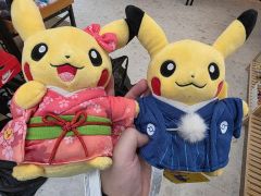タグ付】ポケモンセンタートウキョーDX限定ピカチュウぬいぐるみ火消し