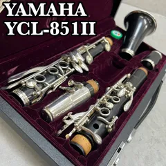 2026年最新】YCL-851の人気アイテム - メルカリ