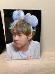 BTS V テテ テヒョン 各辺24.5 マスター 額縁 アクリル パネル - メルカリ