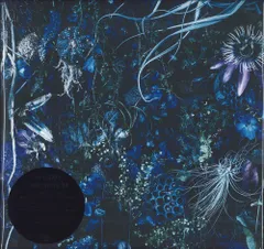 SUGIZO アナログ盤・レコード⭐︎新品未開封⭐︎ 2026年最新】sugizo レコードの人気アイテム - メルカリ