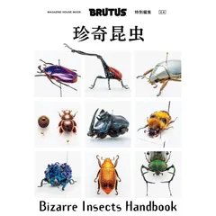 ゾウムシ 甲虫標本 2026年最新】ゾウムシ 標本の人気アイテム - メルカリ