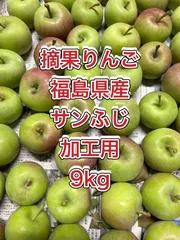 摘果りんご　福島県産　サンふじ　加工用　9kgのサムネイル