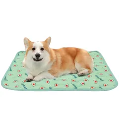 Bidason ペット ひんやり マット 冷感 シーツ 犬 猫 キルト 軽量 白熊柄 フルーツ柄 可愛い クール 接触冷感 涼しい 快適 滑り止め付き 洗える 暑さ対策 小 中 大型 ペット用品 夏のサムネイル