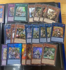 ALETHEIA様専用 張秀勤 精準刮痧 刮痧治療常見病ほか - メルカリ
