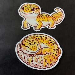 レオパードゲッコーのステッカー2枚