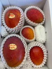 【訳あり】沖縄　アーウィンマンゴー　5玉　約1.3Kg ※ご理解ある方のみご購入　※冷蔵発送のサムネイル
