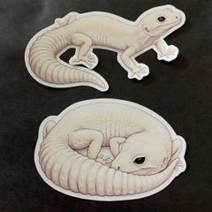 レオパードゲッコーのステッカー2枚