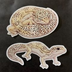 レオパードゲッコーのステッカー2枚