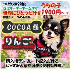【ユリウスK9®対応】セミオーダー　うちの子専用　ネームタグ　名入れok.  刺繍ワッペン ハーネス名札のサムネイル
