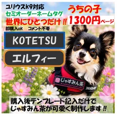 【ユリウスK9®対応】セミオーダー　うちの子専用　ネームタグ　名入れok.  刺繍ワッペン ハーネス名札のサムネイル